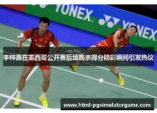 李梓嘉在墨西哥公开赛后场跳杀得分精彩瞬间引发热议