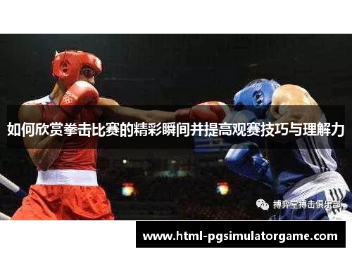 如何欣赏拳击比赛的精彩瞬间并提高观赛技巧与理解力