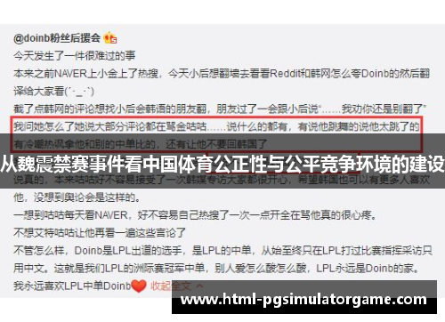 从魏震禁赛事件看中国体育公正性与公平竞争环境的建设