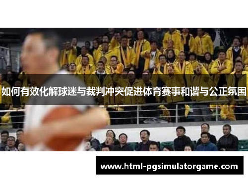 如何有效化解球迷与裁判冲突促进体育赛事和谐与公正氛围