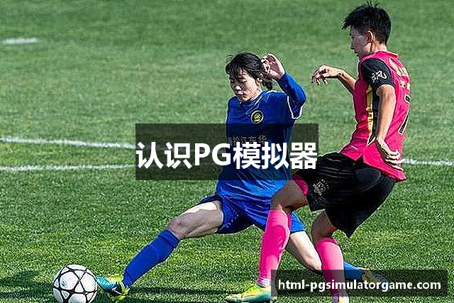 认识PG模拟器